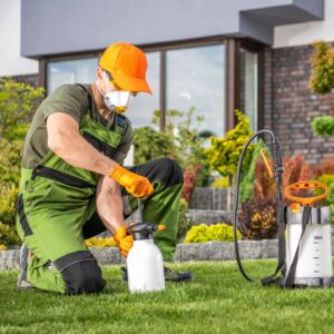 Pest Control Methods for the Home and Garden